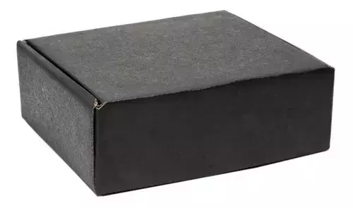 Caixas Papelão Envio Correio Dupla Face 27,5x16,5x11 25un para delivery — embalagem food service Forpack